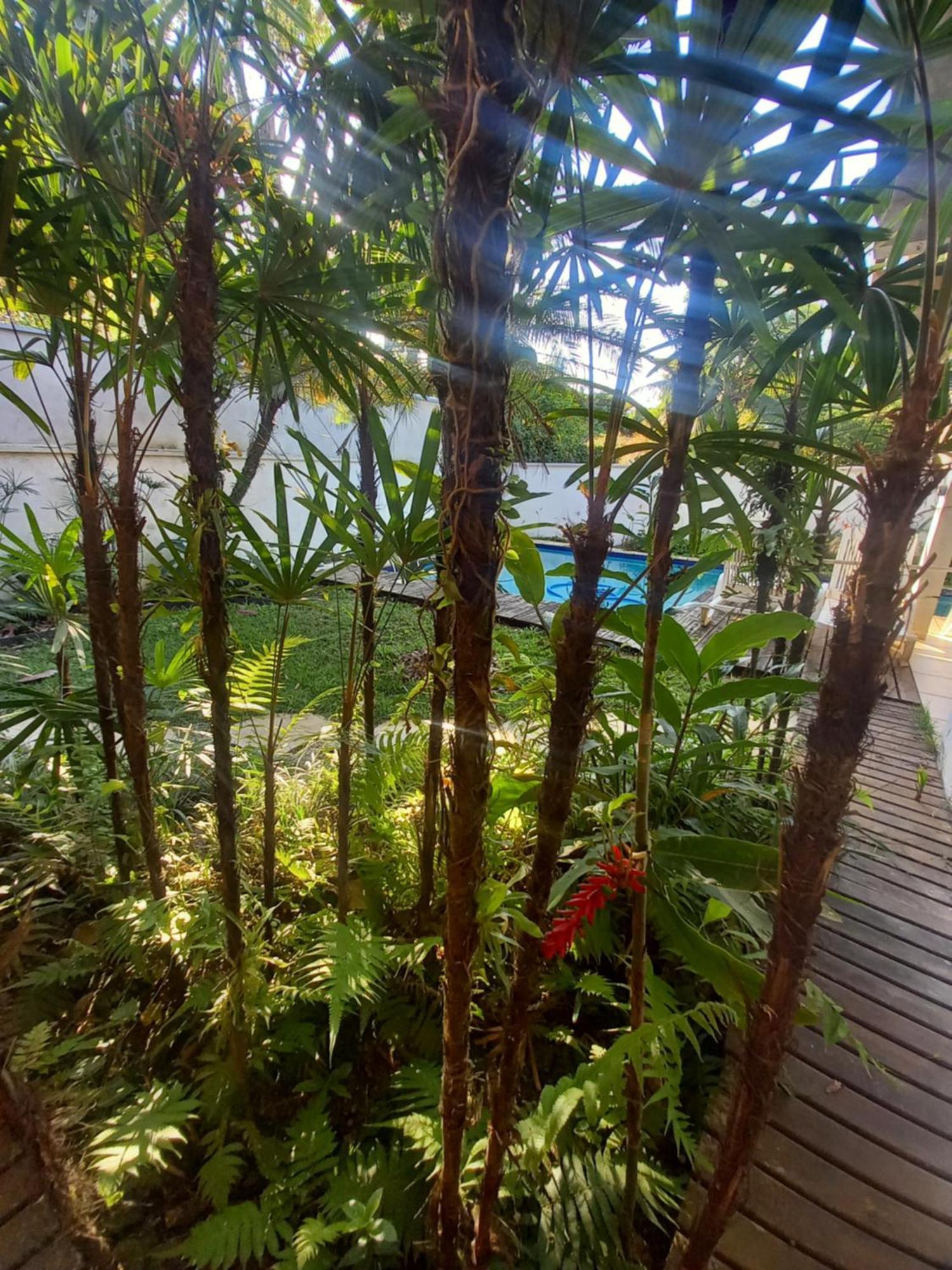 Suite No Condominio Itamambuca - Muito Perto Da Praia !!! Ubatuba Phòng bức ảnh